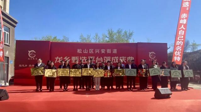 “龙乡甄选”平台在赤峰市兴安街道落成 以“五位一体”助力特产“出村进城”